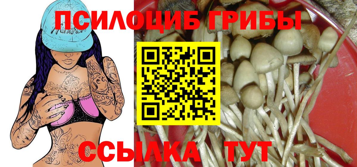 Галлюциногенные грибы Psilocybine cubensis  Вход с VPN  Самара 